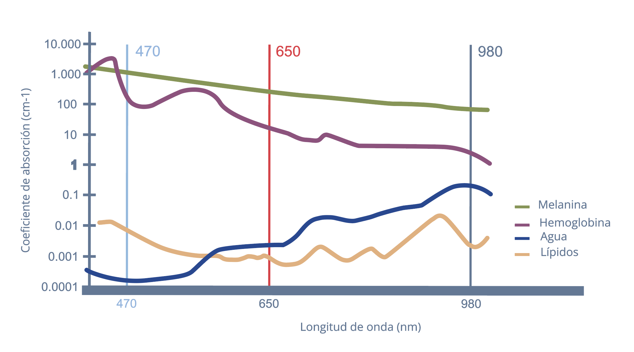 aesthemed_gráfica450